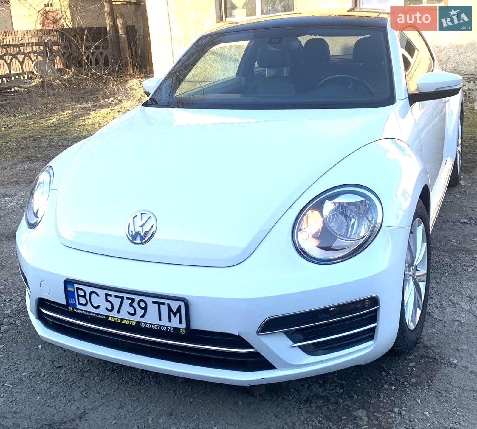VOLKSWAGEN BEETLE 2019