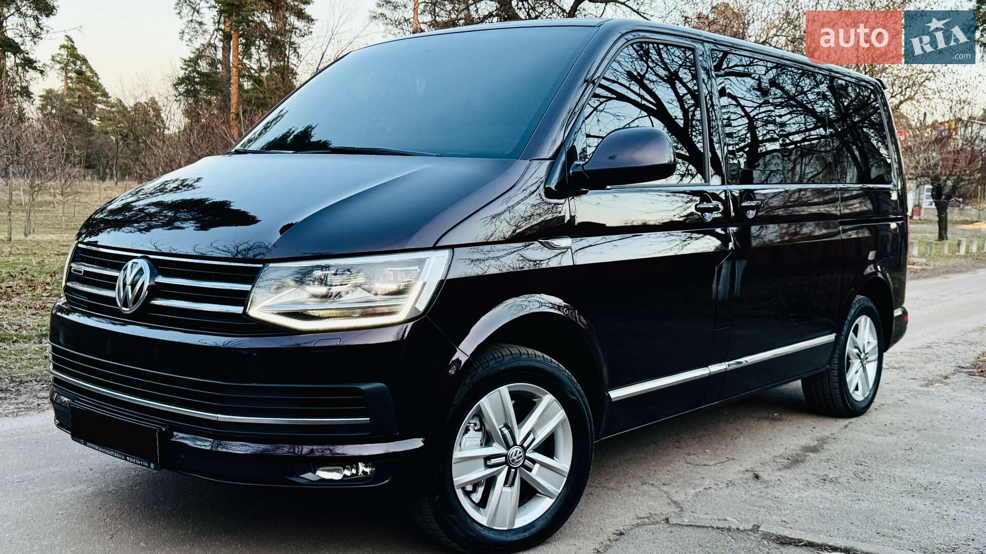 Головне фото звіту автомобіля VOLKSWAGEN MULTIVAN 2016