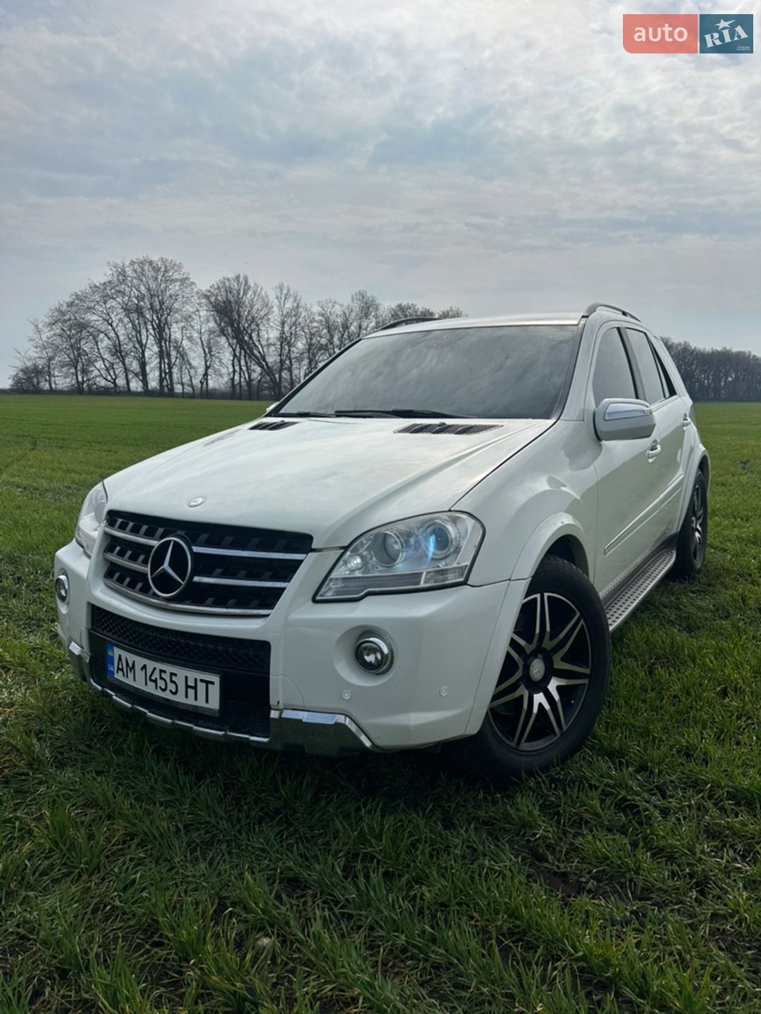 MERCEDES-BENZ ML 300 CDI 2010