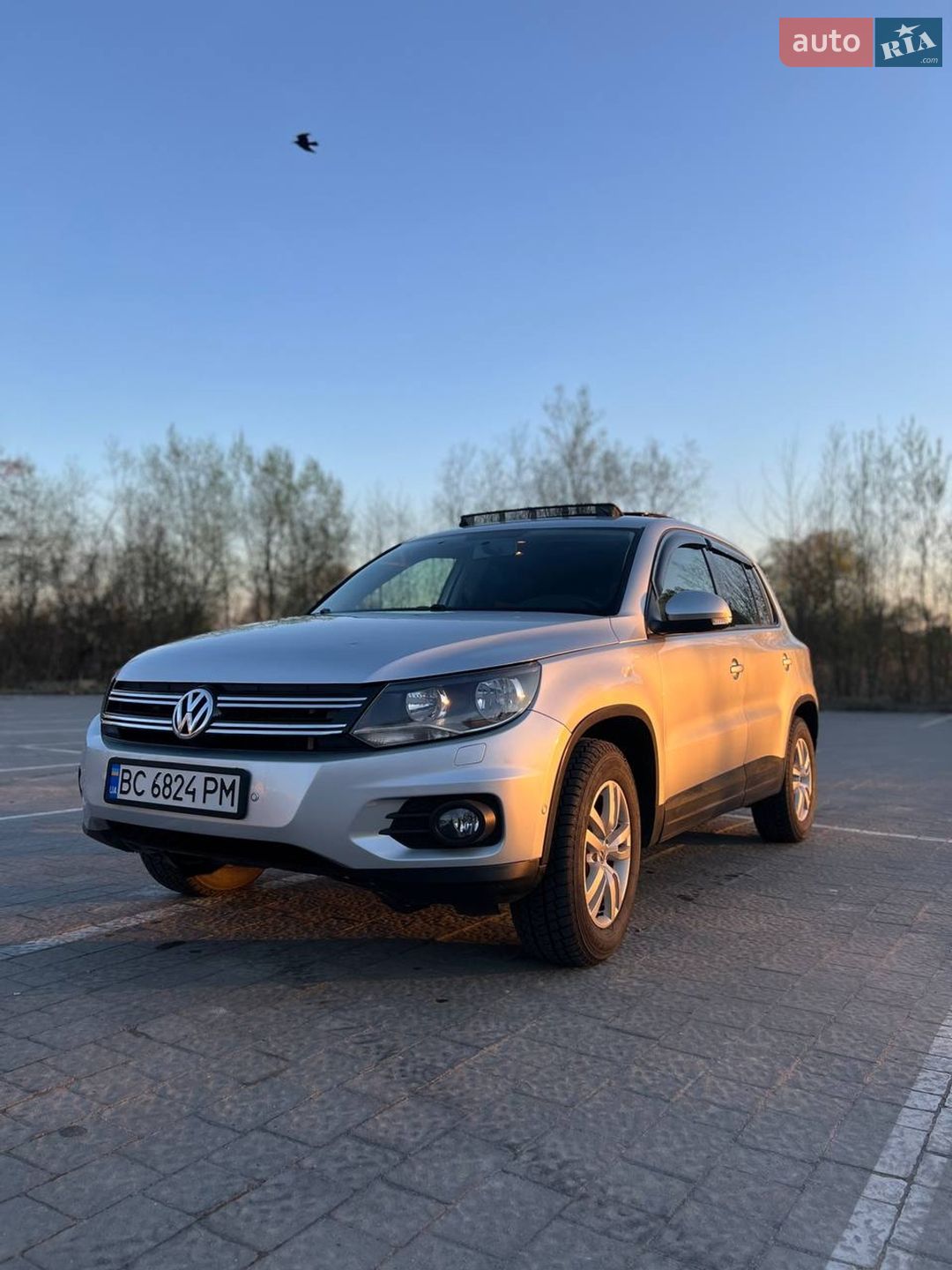 VOLKSWAGEN TIGUAN 2012