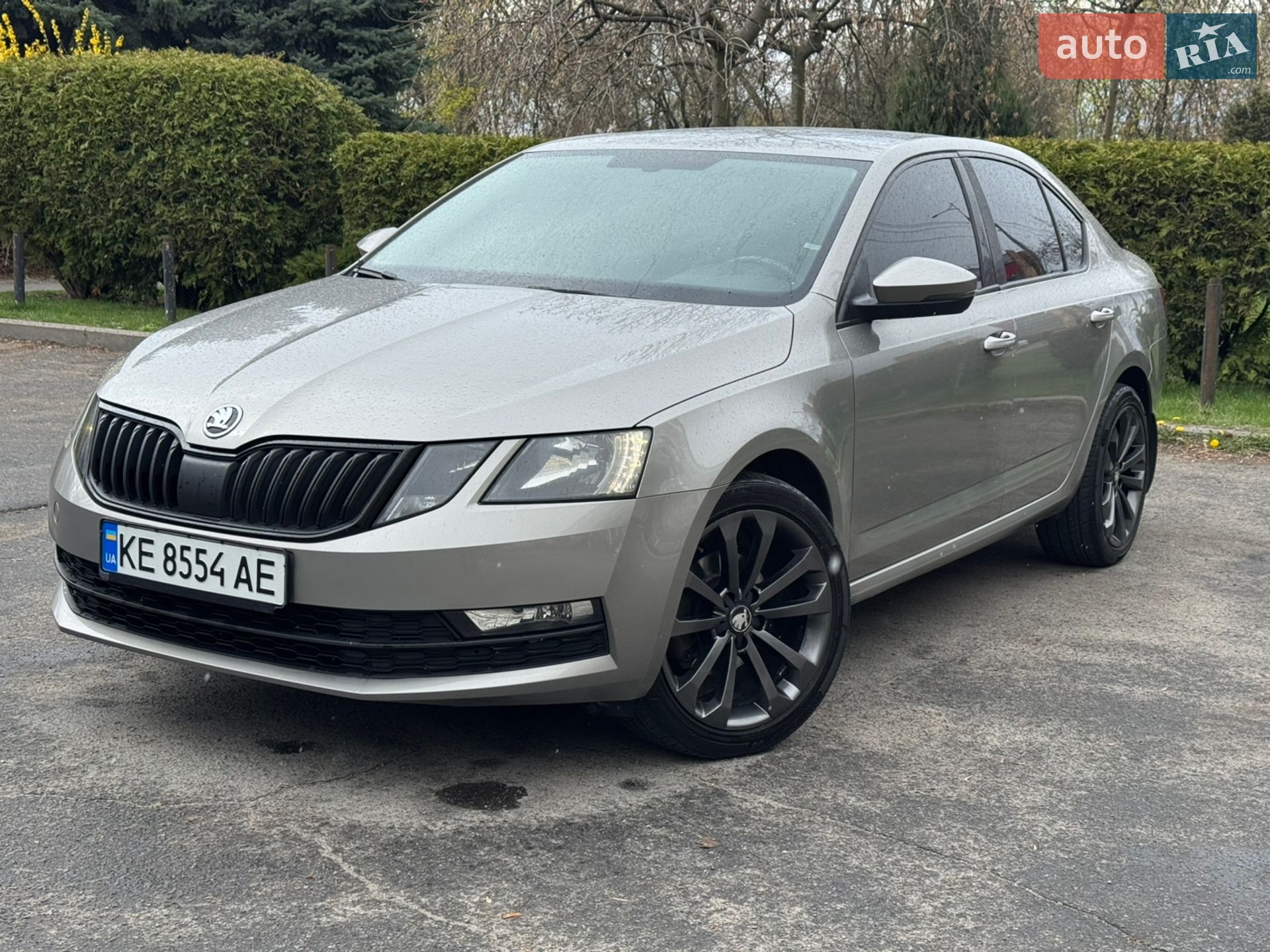Головне фото звіту автомобіля SKODA OCTAVIA 2017