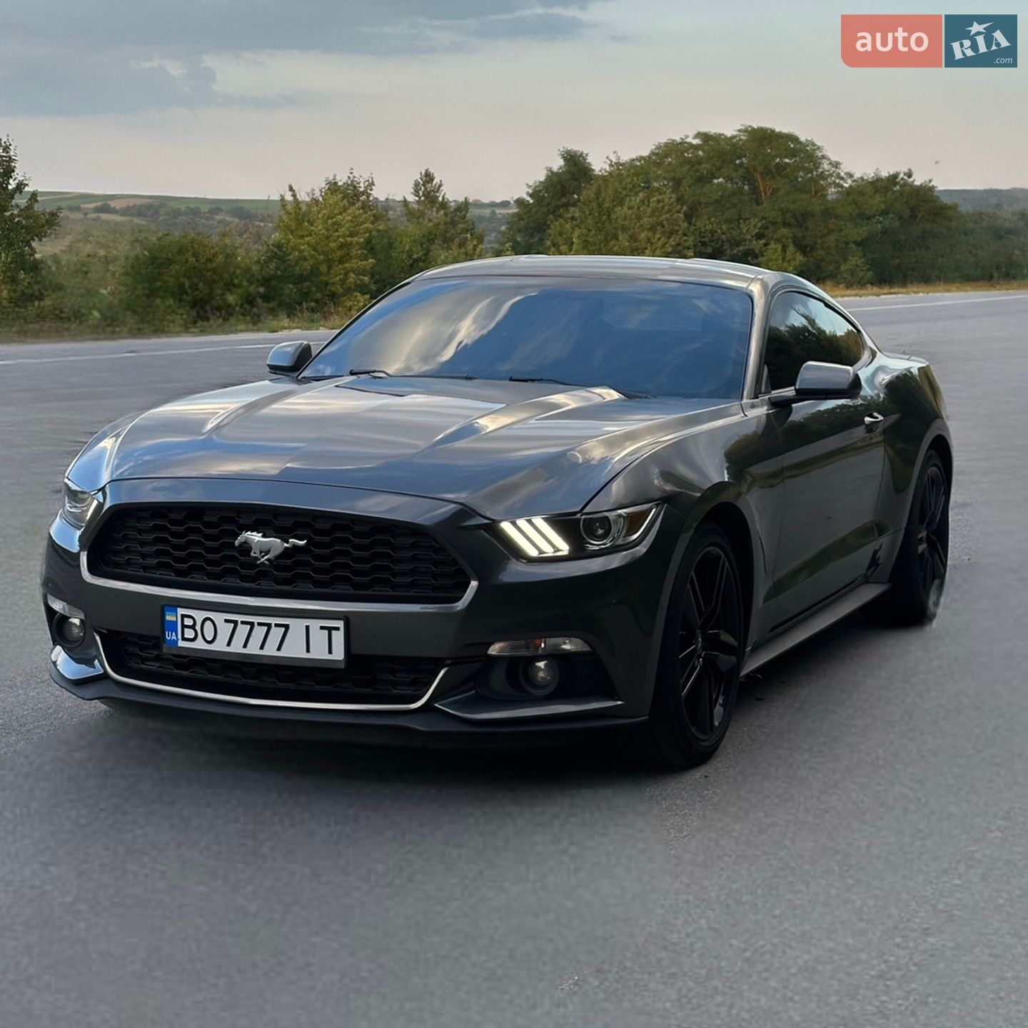 FORD MUSTANG