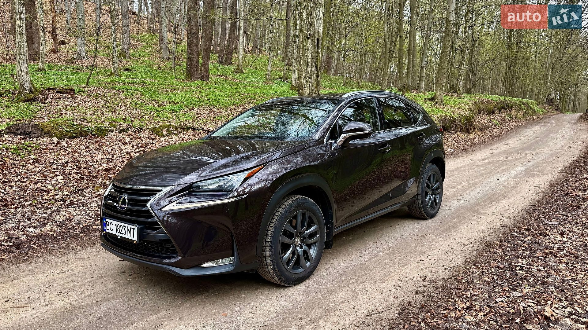 LEXUS NX 200T 2015