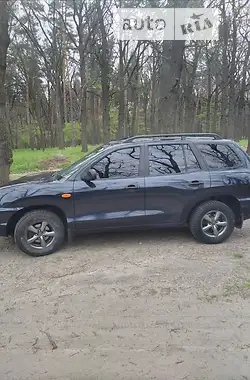 Hyundai Santa FE 2004 - пробіг 214 тис. км