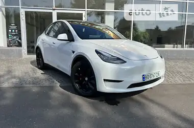 Tesla Model Y 2020 - пробіг 70 тис. км