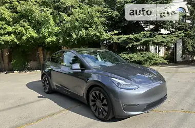 Tesla Model Y 2022 - пробіг 2 тис. км