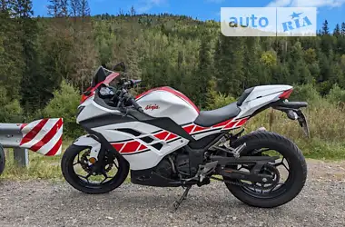 Kawasaki EX 300 2016 - пробег 30 тыс. км