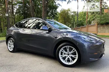 Tesla Model Y 2020 - пробіг 62 тис. км