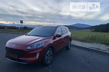 Ford Escape 2020 - пробіг 15 тис. км