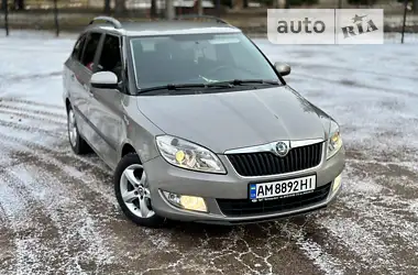 Skoda Fabia 2010 - пробіг 267 тис. км