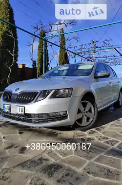 Skoda Octavia 2019 - пробіг 233 тис. км