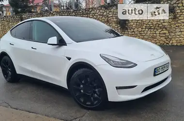 Tesla Model Y 2021 - пробіг 45 тис. км