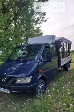 Mercedes-Benz Sprinter 1996 - пробег 832 тыс. км