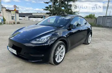 Tesla Model Y 2022 - пробіг 56 тис. км