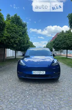 Tesla Model Y  2020 - пробіг 98 тис. км