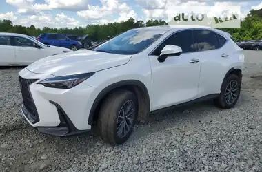 Lexus NX  2024 - пробіг 29 тис. км