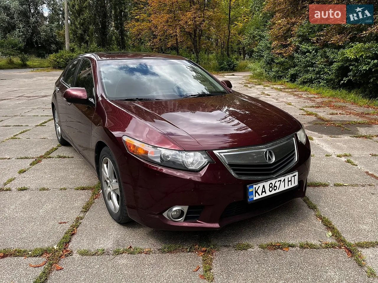 2011 Acura TSX - мініатюра 2