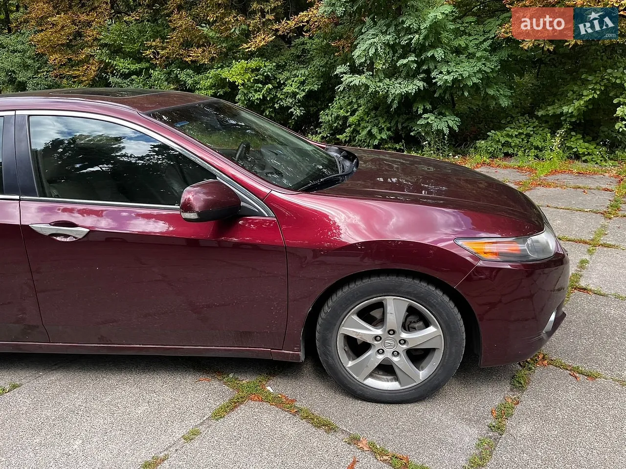 2011 Acura TSX - мініатюра 3
