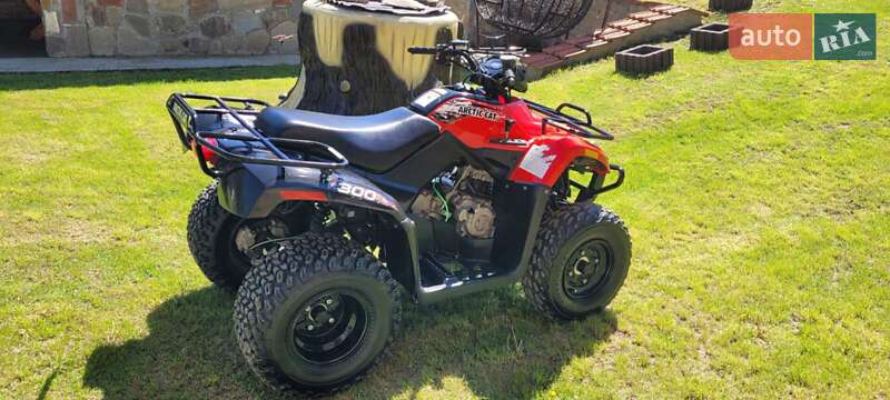 Arctic cat 300