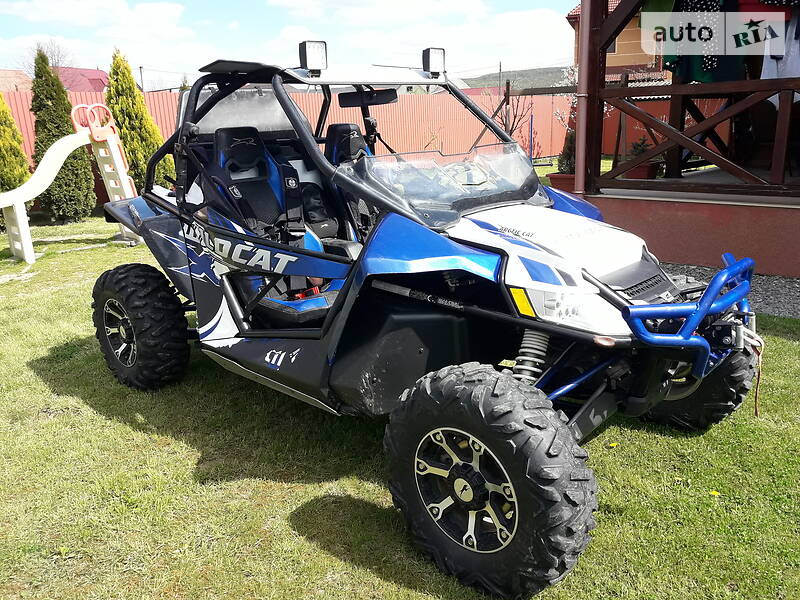 Arctic cat Wildcat