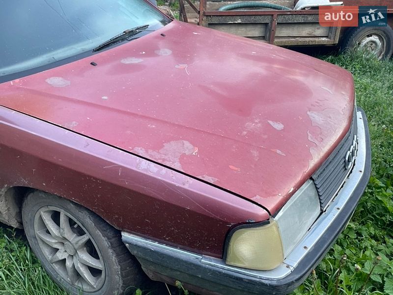 Седан Audi 100 1982 в Хотині