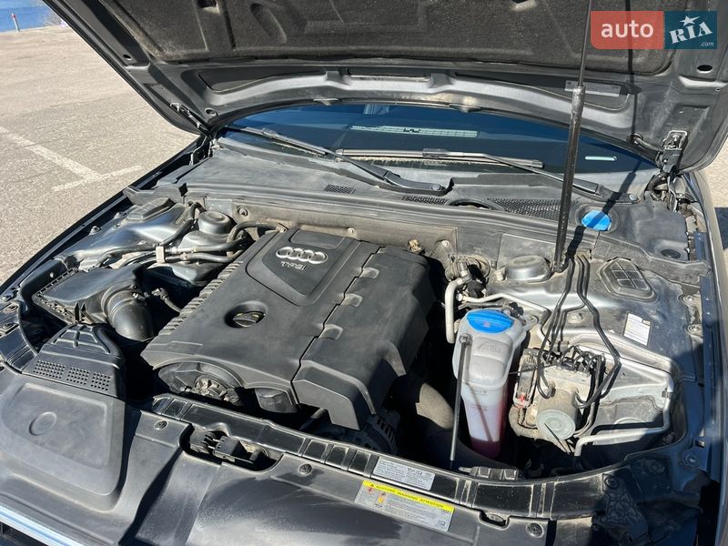 Седан Audi A4 2014 в Києві фото 22 Седан Audi A4 2014 в Києві