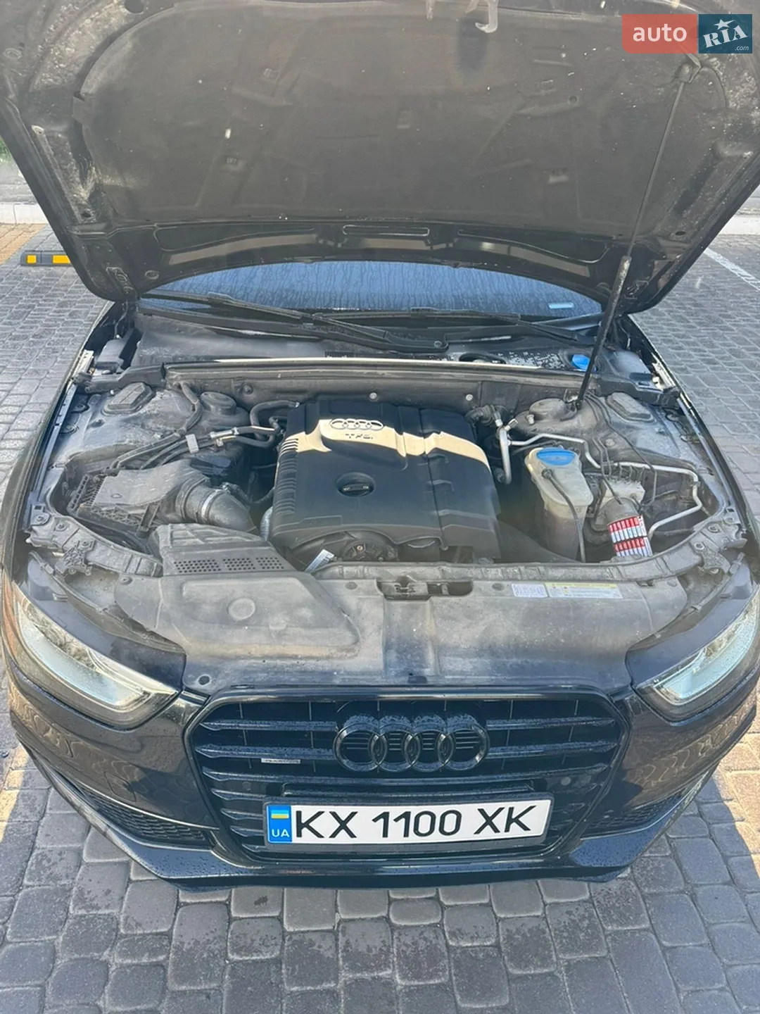 Audi A4 2015 VIN WAUBFAFL3GN006383 фото оголошення 20 з 22