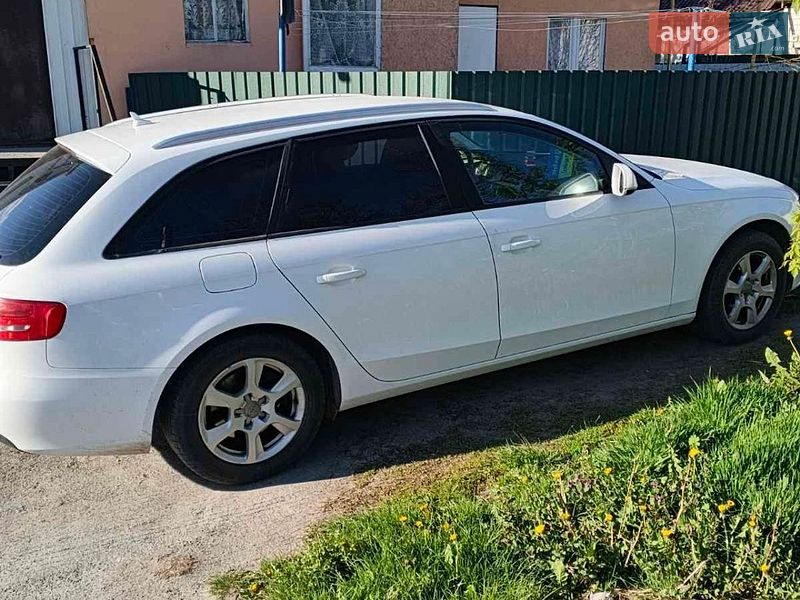 Універсал Audi A4 2010 в Звягелі