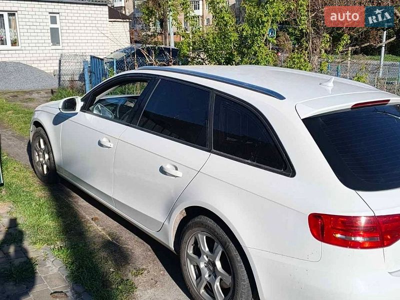 Універсал Audi A4 2010 в Звягелі