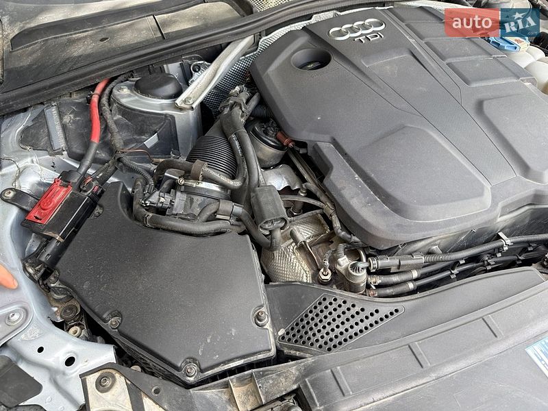 Універсал Audi A4 2016 в Олевську