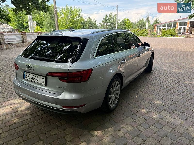Універсал Audi A4 2016 в Олевську