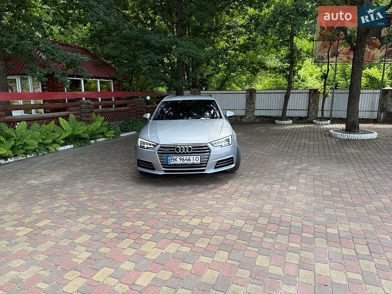 Універсал Audi A4 2016 в Олевську