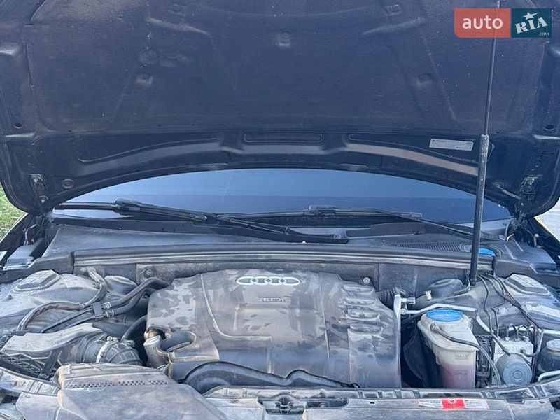 Универсал Audi A4 2009 в Трускавце
