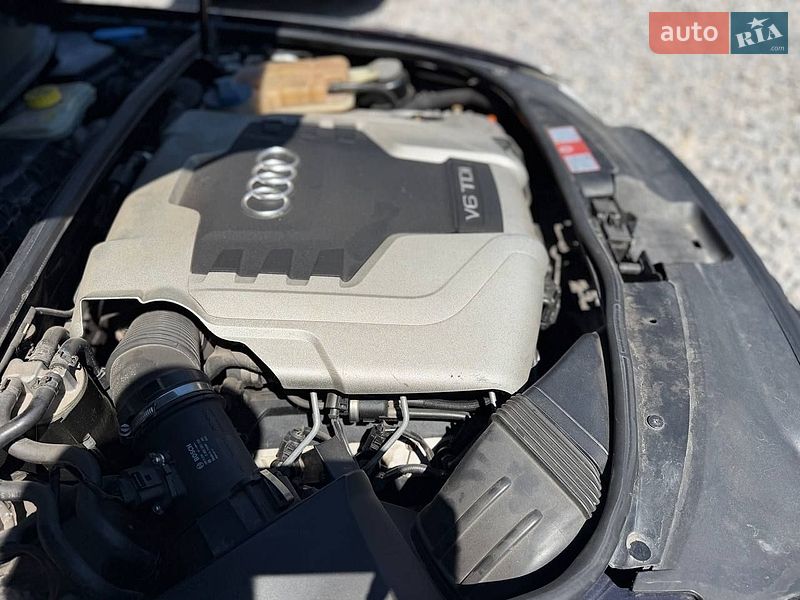 Універсал Audi A6 2005 в Бердичеві