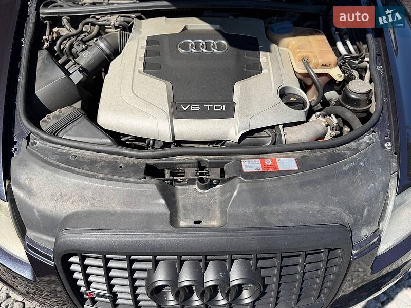 Універсал Audi A6 2005 в Бердичеві
