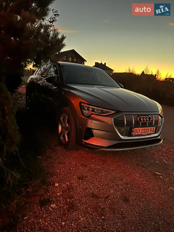 Audi e-tron 2019