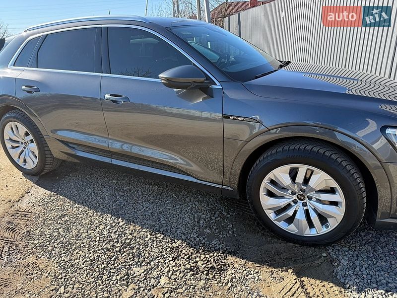 Внедорожник / Кроссовер Audi e-tron 2022 в Ужгороде