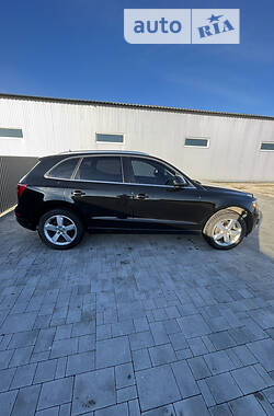 Audi Q5  2010
