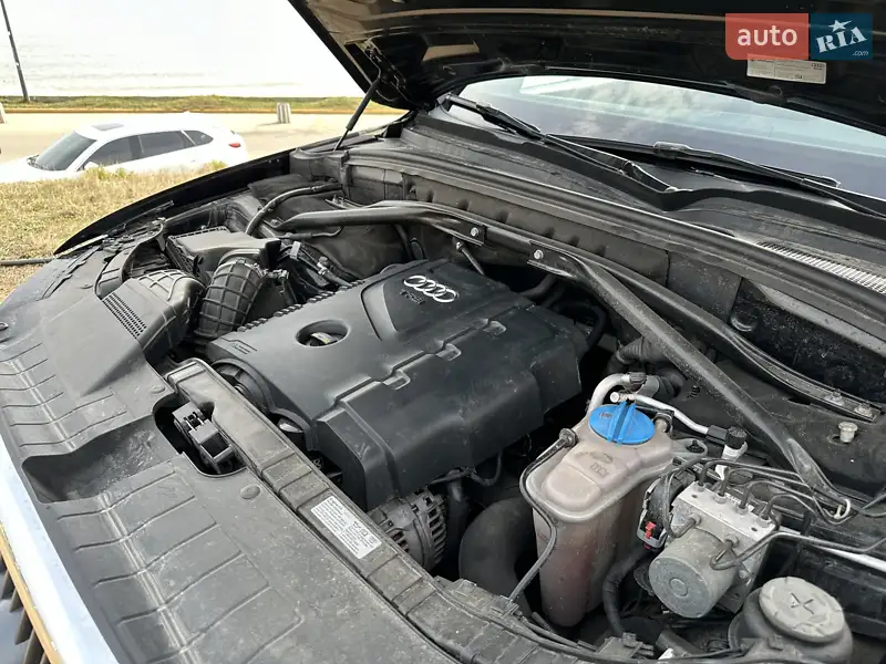 Audi Q5 2010