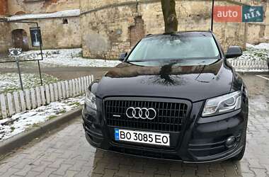 Audi Q5  2010