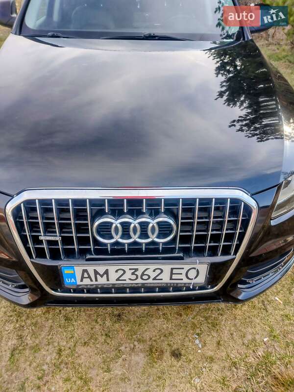 Позашляховик / Кросовер Audi Q5 2012 в Житомирі фото 21 Позашляховик / Кросовер Audi Q5 2012 в Житомирі