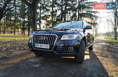 Audi Q5  2013
