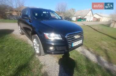 Audi Q5  2013