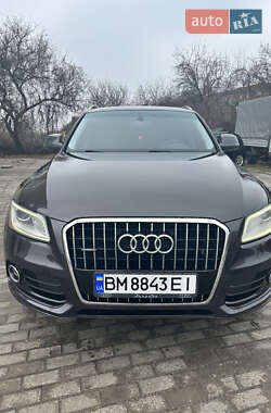 Audi Q5  2013
