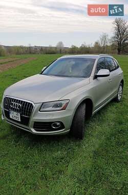 Audi Q5  2013