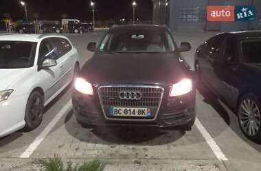 Audi Q5  2010