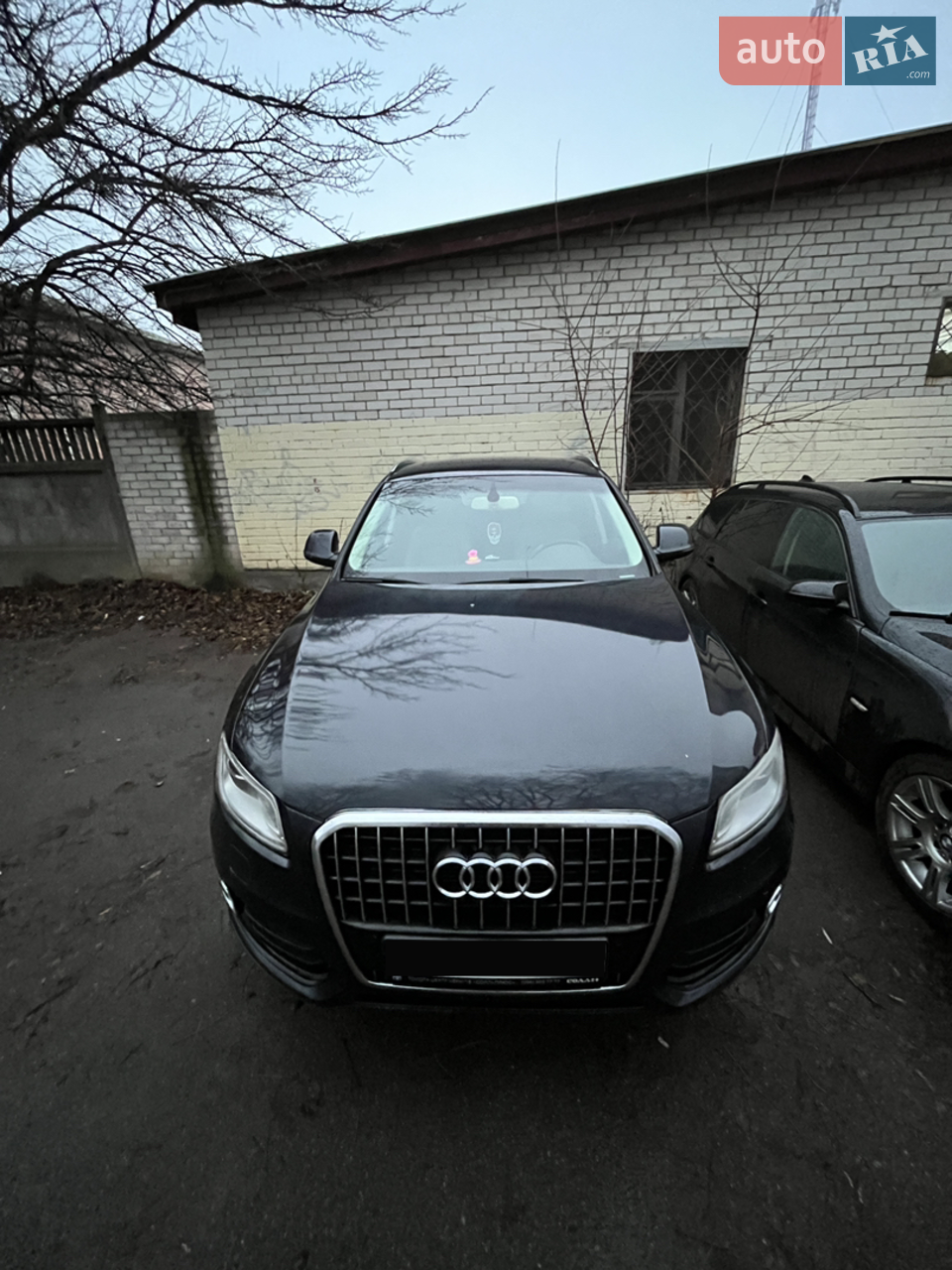 2013 Audi Q5 - фото 1