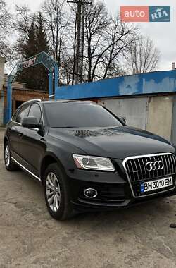 Audi Q5 2013
