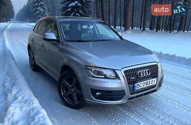 Audi Q5  2010