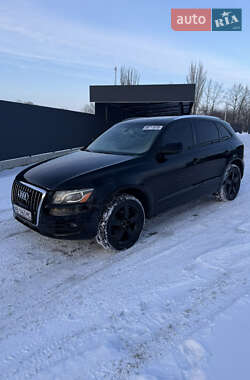 Audi Q5  2010